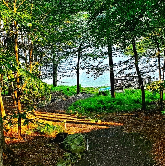 Meet your Posher, Susan - Picture 3 of 6